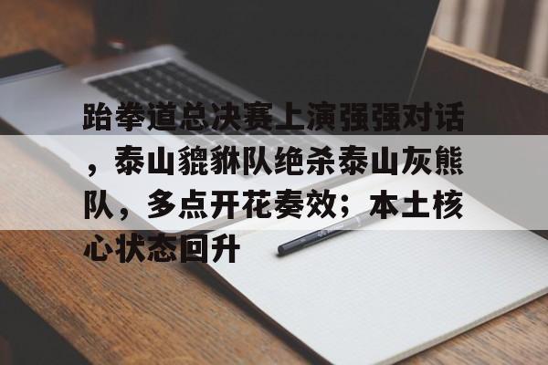 包含跆拳道总决赛上演强强对话，泰山貔貅队绝杀泰山灰熊队，多点开花奏效；本土核心状态回升的词条