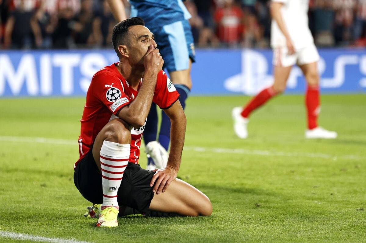 金刚经全文完整 金刚经全文完整