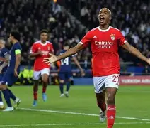 本菲卡训练开放日；今晨篮板制胜引欢呼；欧冠在即；医务组通报恢复(健身教练的奖励机制)